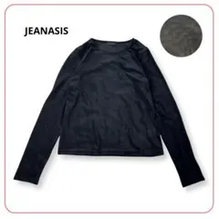 良品 ジーナシス カットソー F 黒 長袖 透け感 薄手 レディース