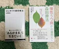 はじめての森田療法 慢性うつ病からの離脱と回復 2冊セット