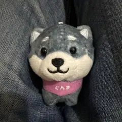 旅するマメしば　草津温泉限定　群馬　タグ付き