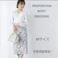 《新品級✨》プロポーションボディドレッシング　タイトスカート Mサイズ