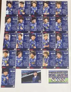 カルビー 日本代表 トレーディングカード 23枚セット