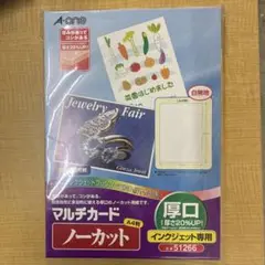 A4 ノーカット マルチカード 厚口 10枚入り