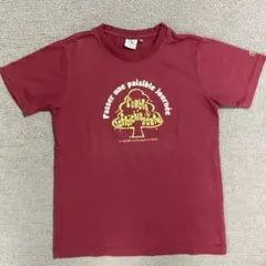 AIGLE 半袖Tシャツ ボルドー XS