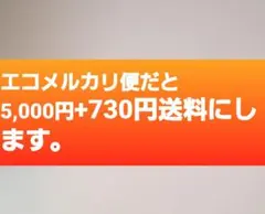 デロンギオオイルヒーター。H771423E. 200V.2300.作動確認済.