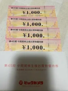 ビックカメラ　株主優待　4000円分