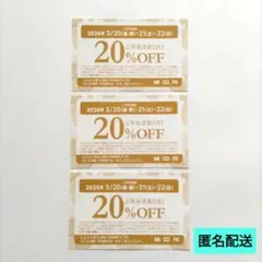 MIDORI お客様感謝DAY 20%OFFチケット 3枚 長野 松本 割引券