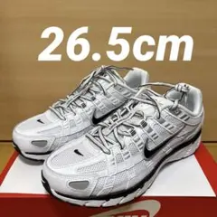 【オンライン完売】NIKE P6000 白黒メタリックシルバー