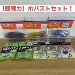 コイケ17mmモリケンリグ セット 新品 箱のまま発送 - メルカリ