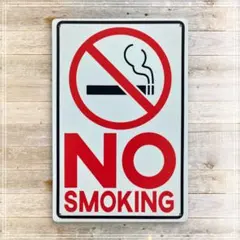 Item thumbnail for item da47804d-7cbf-4191-b66d-fdb5cf706fe8