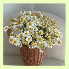 アリエル様 リクエスト 4点 まとめ商品