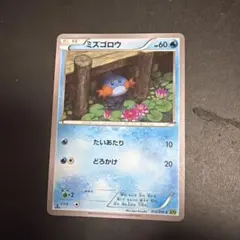 ポケモンカード ミズゴロウ 109/XY-P 2026年最新】ポケモンカード ミズゴロウ 109/xy-pの人気アイテム