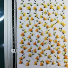 メラスフェルラ　 NO33 2025年 つぼみ付き 押し花 押し花素材
