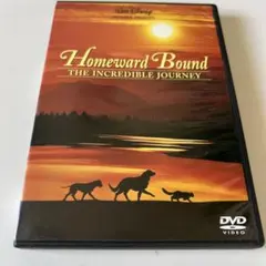 Item thumbnail for item cc50791a-9a20-457d-aae0-b1431cfa00d6