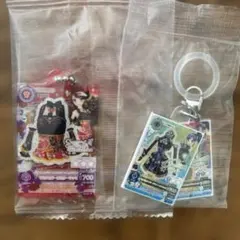 アイカツ　アクリルキーホルダーめじるしアクセセット
