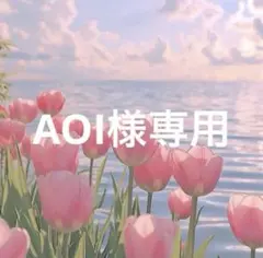 【AOI様専用】4月1日購入予約