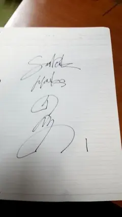 内川聖一　横浜ベイスターズ時代支給スパイク直筆サイン入りスパイク 2025年最新】内川聖一 直筆サインの人気アイテム - メルカリ