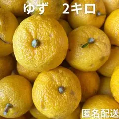 無農薬のゆず 2キロ　匿名配送　柚子のサムネイル