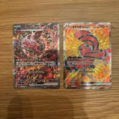 オドリドリEX sar,sr