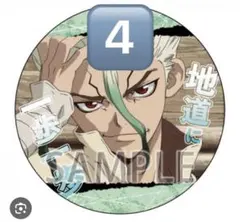 Dr.STONE ドクターストーン　アニメイト ポイント景品　石神千空　4点