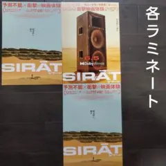 映画　シラート　３種ラミネートセット　チラシ　フライヤー