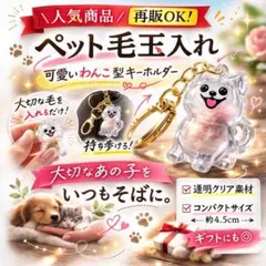 キーホルダー　ペット　毛玉入れ　メモリアル　抜け毛　2個セット　愛犬