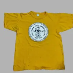 ボクシングWBC世界バンタム級チャンピオン長谷川穂積Tシャツ新品未使用 