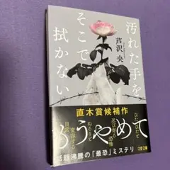 小説　汚れた手をそこでは拭かない　本