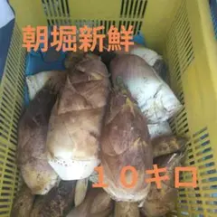愛知産　朝堀新鮮たけのこ　約２０キロ 収穫出来次第で即日発送！ 愛知産！朝堀新鮮たけのこ！20キロ！収穫出来次第で即日発送！ - メルカリ