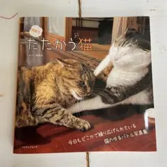 何かとたたかう猫 写真集