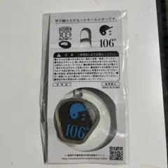 2026年最新】甲子園の土キーホルダーの人気アイテム - メルカリ