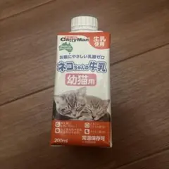 고양이 우유 새끼 고양이 우유