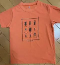 美品　mont-bell 昆虫（甲虫）プリント Tシャツ 130 モンベルのサムネイル