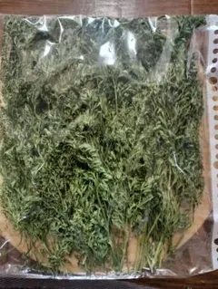 Item thumbnail for item f0f6fb64-7f1b-4d18-b887-3d6f8c984c93