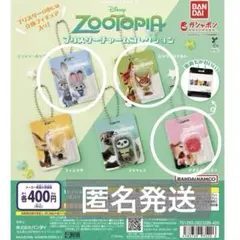 ズートピア　ブリスターチャームコレクション