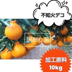 【ꕤ490】不知火デコ【訳あり品☆加工原料】10kg 熊本みかん