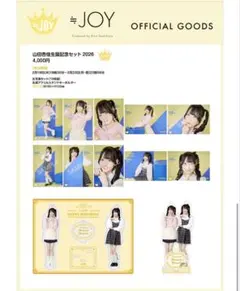 山田杏佳 生誕記念セット 2026 アクスタ 生写真 - メルカリ