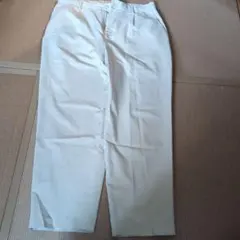 Item thumbnail for item 8d63d49e-4fe2-4620-a494-907ac50e2632