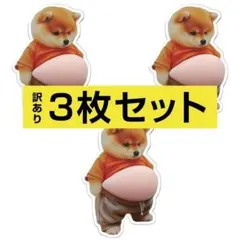 【訳あり】3枚 柴犬 ぷにぷに シール おなか 立体 ぷっくり シール帳 いぬ