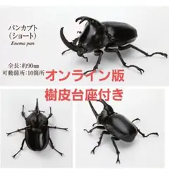 いきもの大図鑑 かぶとむし09 パンカブト(ショート)オンライン版②
