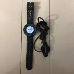 ガーミンのサムネイル