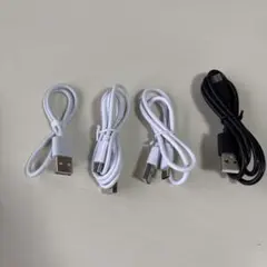 タイプc 4本セット ホワイト ブラック