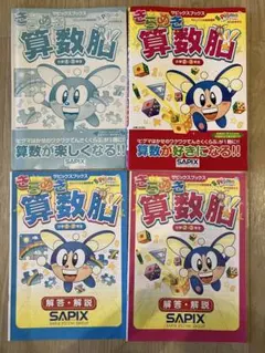 新品未使用♡SAPIX ピグマ 小4 算数 国語 教材見本 - メルカリ