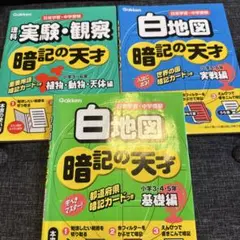 Item thumbnail for item d035c6e6-10e3-46cb-bb80-f3599ceb9dd9