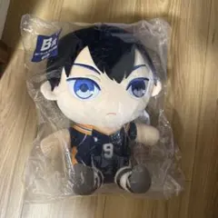 ハイキュー フリューくじ B賞 ぬいもっち 影山飛雄