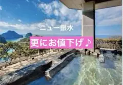 ニュー銀水 平休日1泊2食付ペア　宿泊券　ラウンジ　夕食時アルコール類飲み放題付