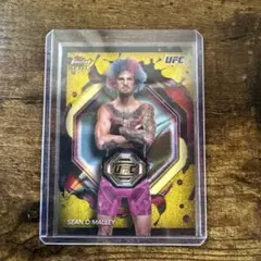 Item thumbnail for item 5f6ad6c5-5062-42ad-ace1-855003e58bd4