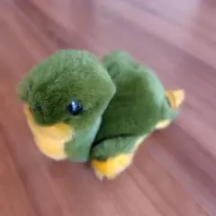 アンティーク Steiff ミドリガメ 緑亀 トータス陸亀 タートル ぬいぐるみ ぬいぐるみ 亀 カメ タートル みどり - メルカリ アンティーク Steiff