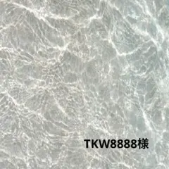TKW8888様おまとめ