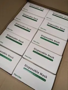 【山本様専用】不織布 立体 マスク 二重使い まとめ売り 50枚 1ケース40箱