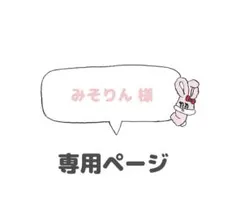 みそりん様 専用ページ silicoco